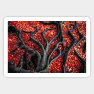 Red Roots Sticker